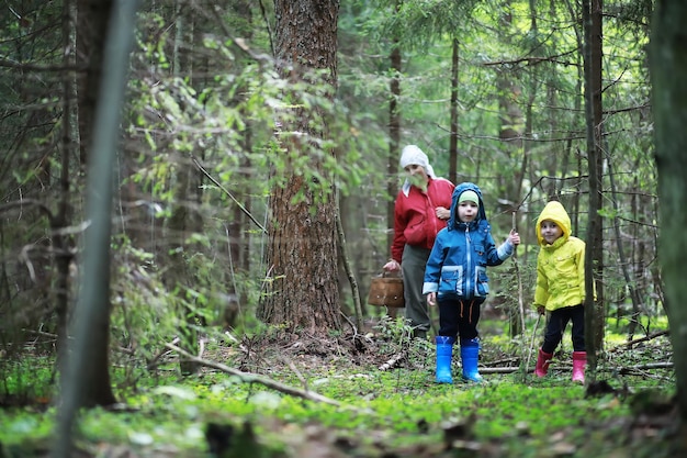 Children go to the forest for mushrooms