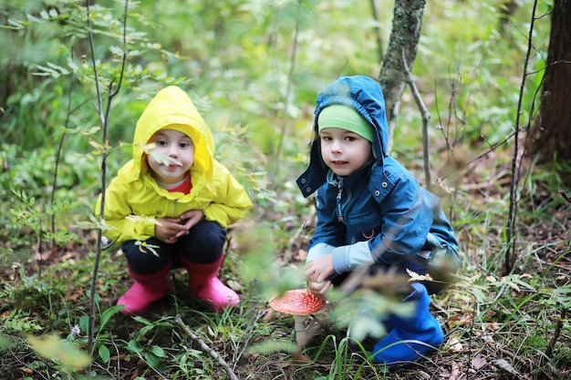 아이들은 버섯을 찾으러 숲으로 갑니다.