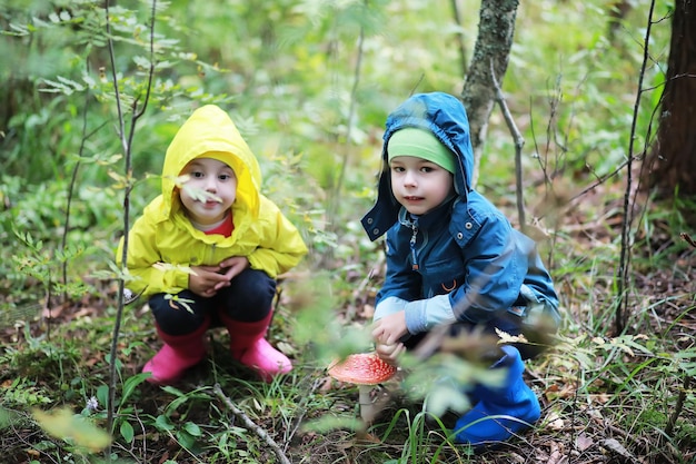 Children go to the forest for mushrooms