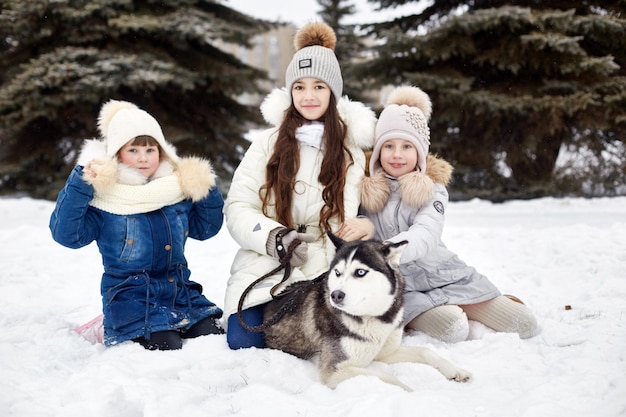 冬に子供たちは外出し、ハスキー犬と遊ぶ。子供たちは雪の中で座り、犬のハスキーをなでます。冬の公園を歩いて、喜びと楽しみ、青い目をしたハスキー犬。 、12月