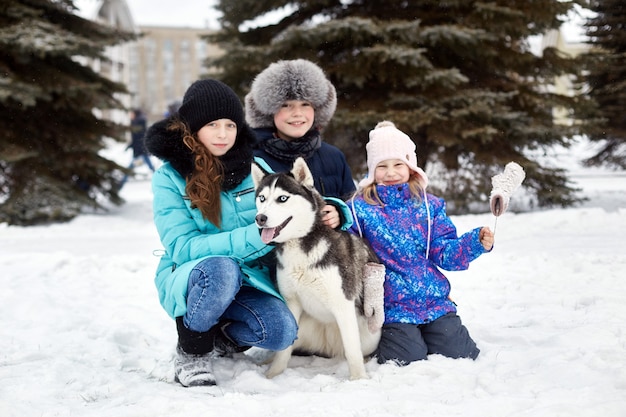 冬は子供たちが外に出てハスキー犬と遊んでいます。子供たちは雪の中に座り、ハスキー犬を撫でます。冬に公園を散歩し、喜びと楽しさ、青い目をした犬のハスキー。