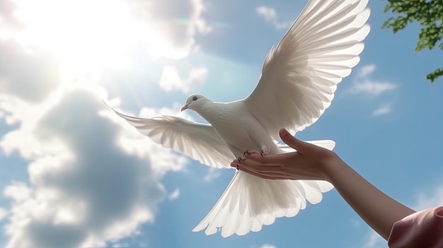 Foto mani dei bambini con attenzione tenendo e rilasciando il concetto di pace colomba bianca
