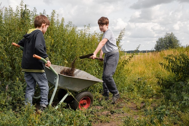 Children help in the garden in the village