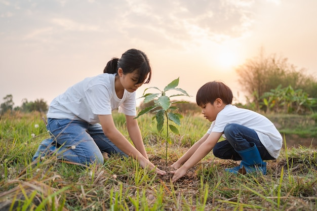 Children helping planting tree in garden for save world. eco environment concept