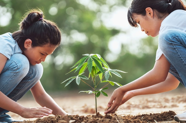 Дети помогают сажать дерево в саду для спасения мира. экологическая концепция окружающей среды