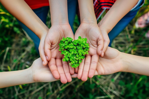 Children holding heartshaped plant in their hands