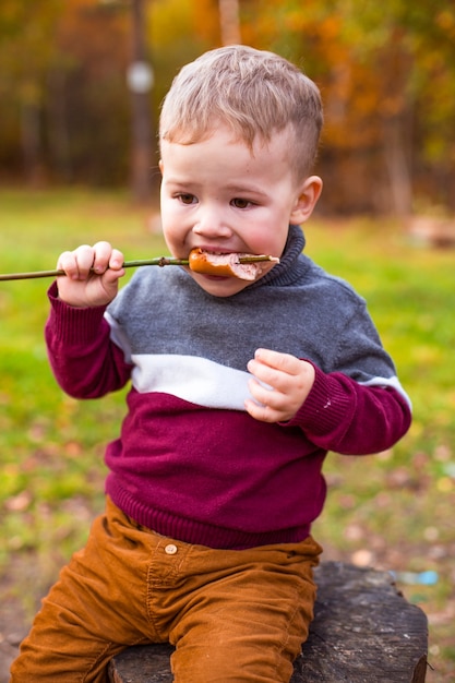 写真 秋の森の子供たちがピクニックグリルソーセージでギターを弾く