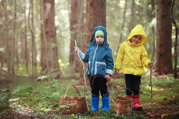 村の子供たちは秋の森を歩き、きのこを集めます。自然の中の子供たちは自然の中を歩いています。秋の田舎散歩。