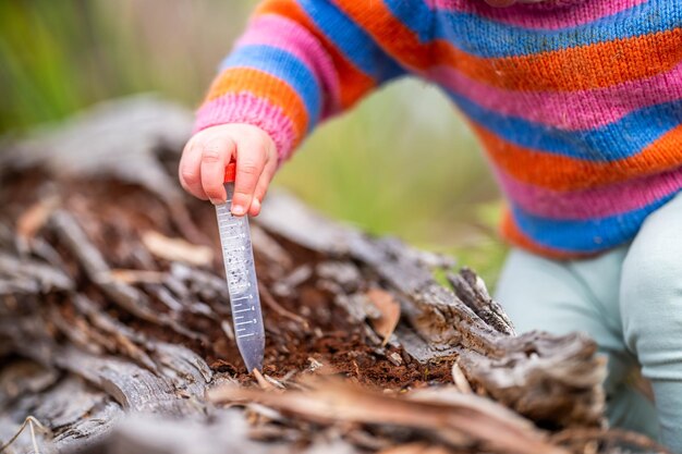 children learning about nature outdside