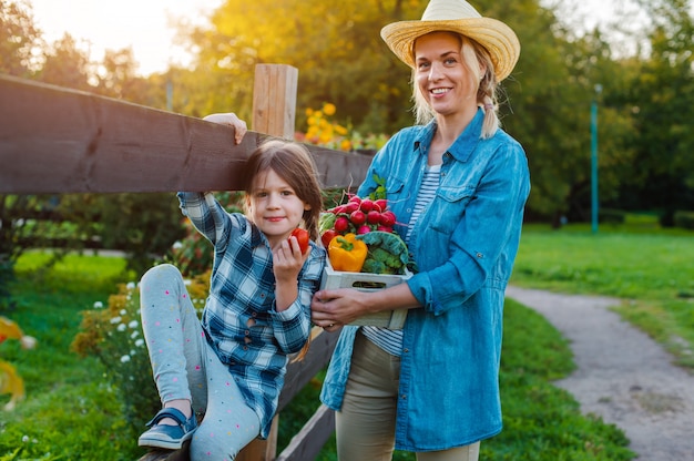 Children little girl holding mom a basket of fresh organic vegetables