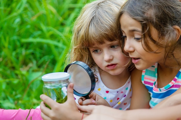 Photo children look at a magnifying glass on the nature. selective focus. nature.