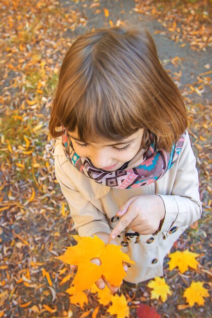 Children in the park with autumn leaves. Selective focus.