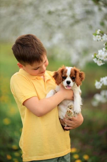 犬と子供とペットの屋外ゲーム10歳の子供男の子はペットの犬のキャバリアキングチャールズスパニエルを歩きます