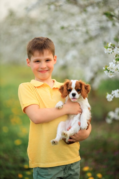 Foto bambini e animali domestici giochi all'aperto con cani bambino ragazzo 10 anni cammina un cane da compagnia cavalier king charles spaniel