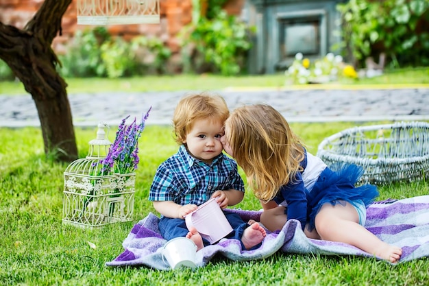 庭で楽しんでいるかわいい白人の男の子のpirnic肖像画の子供たちかわいい子供たちは少し大好きです...