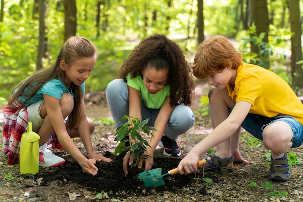 Children planting together in the forest