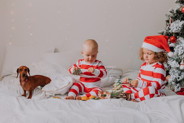 빨간색과 흰색 잠옷을 입은 아이들이 침대에 앉아 서로와 개와 함께 크리스마스 과자를 나눕니다.