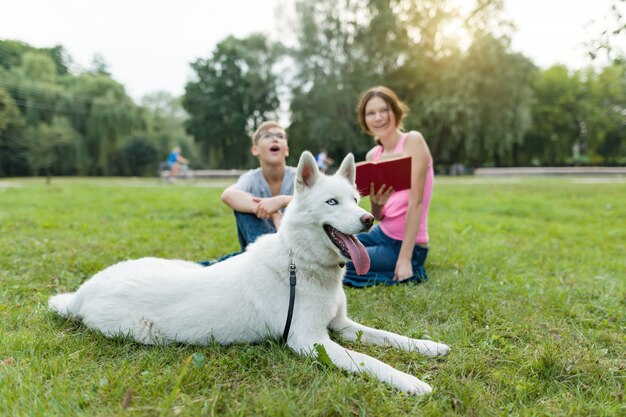 Дети отдыхают в парке с собакой