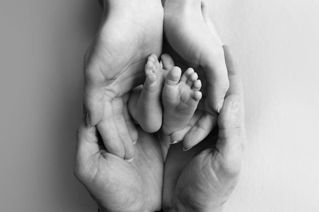 Children's feet in hold hands of mother and father on white. Mother, father and newborn Child. Happy Family people concept. Black and white. High quality photo