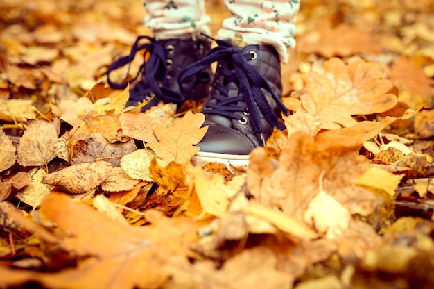 Children's feet in shoes in a pile of autumn fallen orange leaves in an fall forest or park. children are walking or traveling in nature