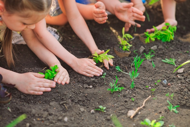 Детские руки сажают молодое дерево на черной почве как мировая концепция спасения