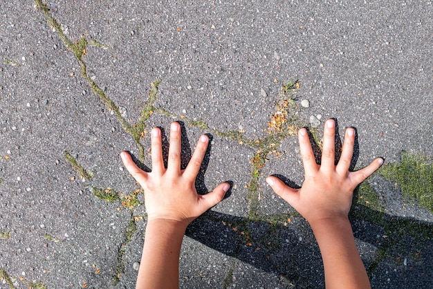 Children's hands with outstretched fingers on the old asphalt overgrown with moss