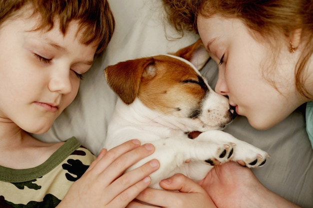 Children's laying and hugging a puppy Jack Russell Terrier.