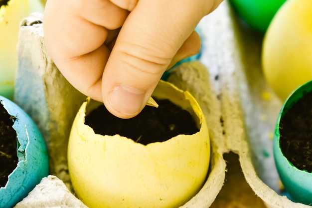 色とりどりの卵ショーツに手動で種を植える子供たちのイースターのクローズアップ