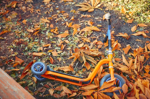 Children's scooter lies on a playground in yellow leaves