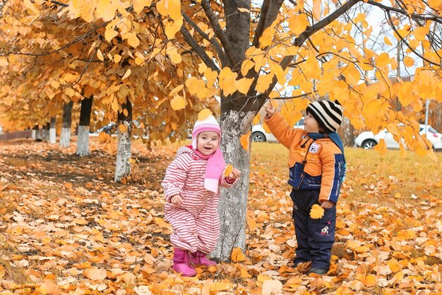 Children on the street play autumn