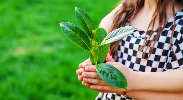 Children take care of nature tree in their hands Selective focus