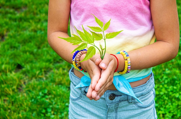 Children take care of nature tree in their hands Selective focus