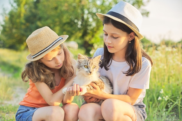 屋外で灰色のふわふわ猫と遊ぶ子供2人の女の子。美しい夕日の国の風景の背景