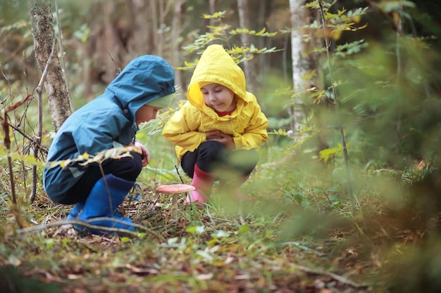 Children in the village walk through the autumn forest and gather mushrooms. children in nature are walking in nature. rural walk in autumn.