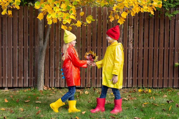 Children in waterproof raincoats and rubber boots A boy gives a girl a bouquet of yellow leaves