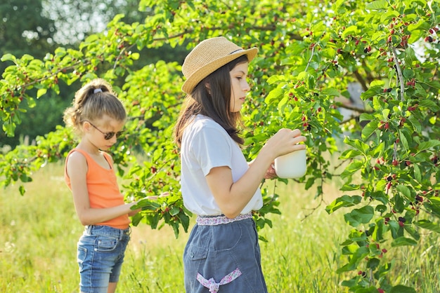 Children with crop of berries in mug, mulberry tree in summer garden. Tasty sweet natural berries rich in vitamins