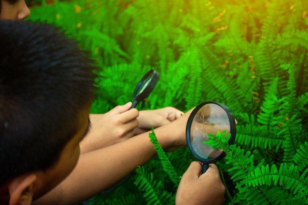 Photo children with magnifying glasses by plants