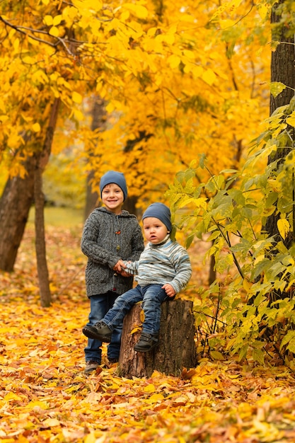 Children in yellow and gold autumn forest