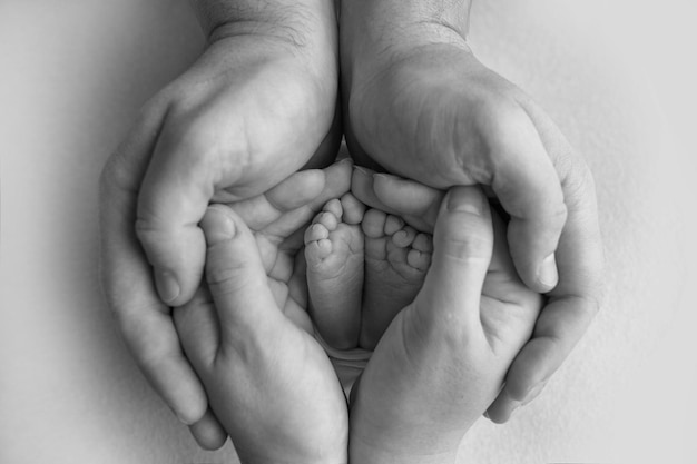 Children39s foot in the hands of mother father parents feet of\
a tiny newborn close up little baby legs mom and her child happy\
family concept black and white image of motherhood stock photo