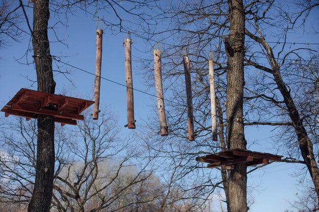 Childrens attraction in forest wooden suspension bridge between trees attached sticks on tree for si...