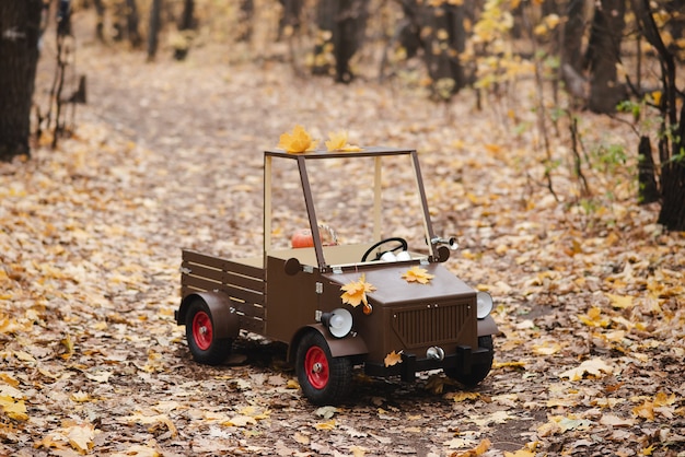 Фото Детский деревянный грузовик в осеннем парке