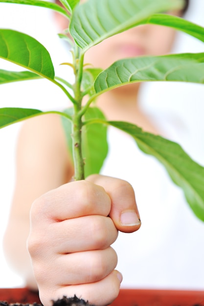 Childs hand holding a plant