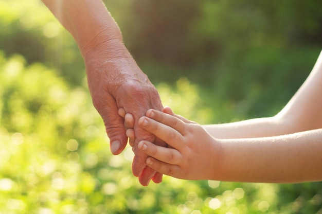 Childs hand and old hand grandmother