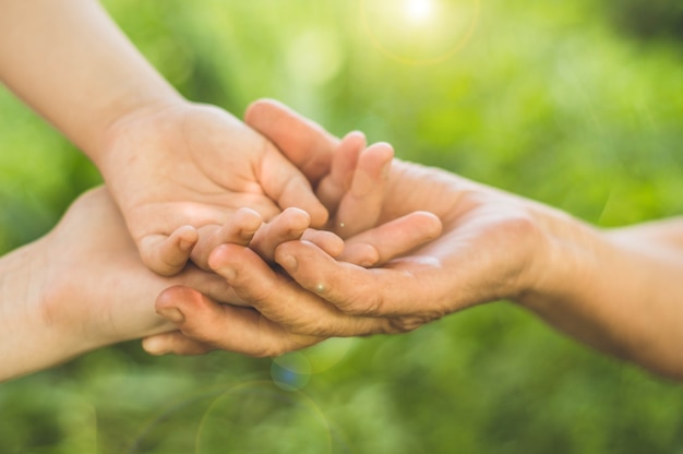 Childs hand and old hand grandmother