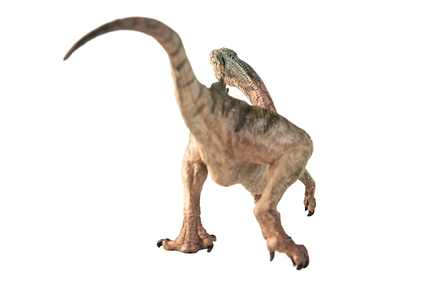 흰색 바탕에 Chilesaurus 공룡입니다.