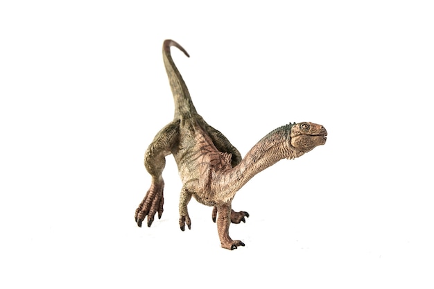 Chilesaurus Dinosaur on white background .