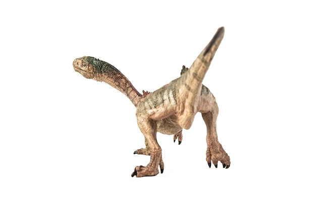 Chilesaurus Dinosaur on white background .