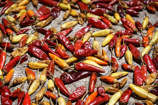 Photo chili pepper background hot red chili peppers are dried in the sun outside mexican cuisine spices food concept