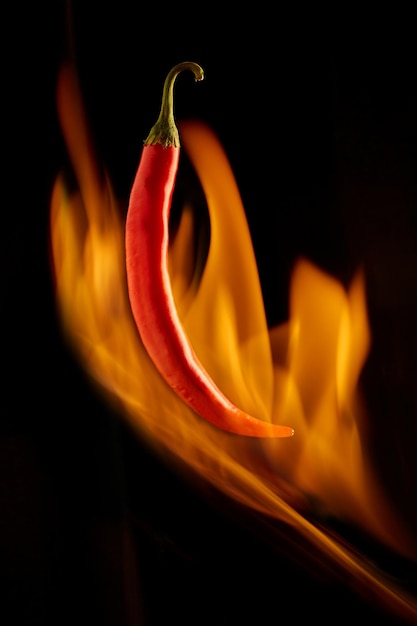 Chili pepper on fire On a black background