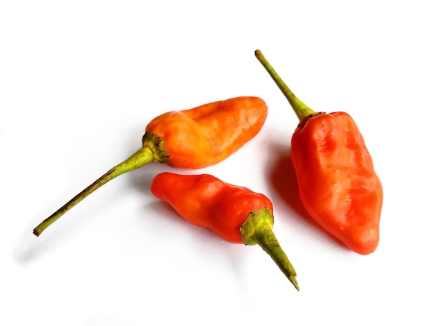 Chili pepper isolated on a white background hot red chili\
pepper